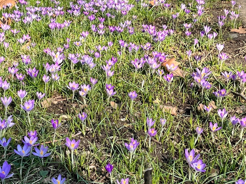 23-02-13 12-49-01 4185